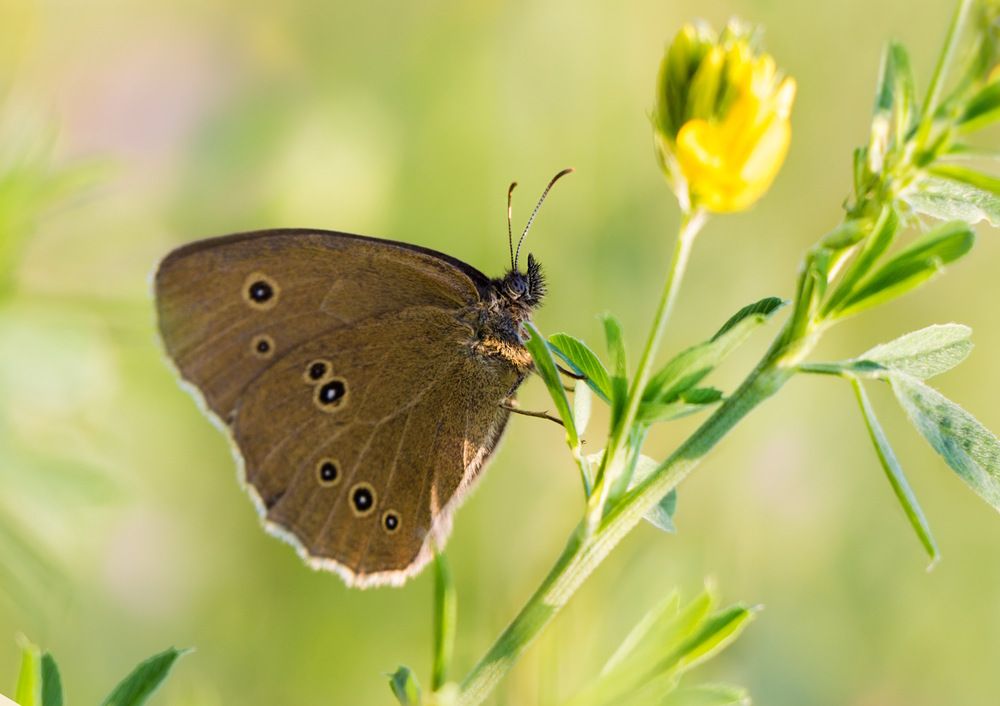 Photograph by виктор ковчин