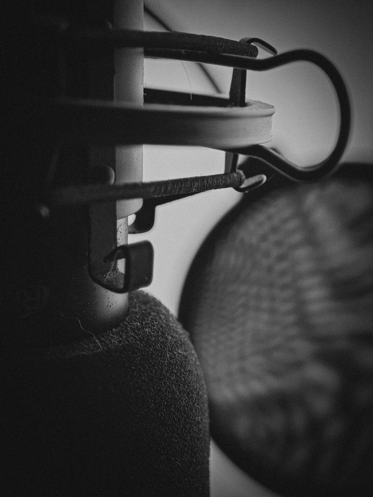 Фотография автора Наталья Данилова