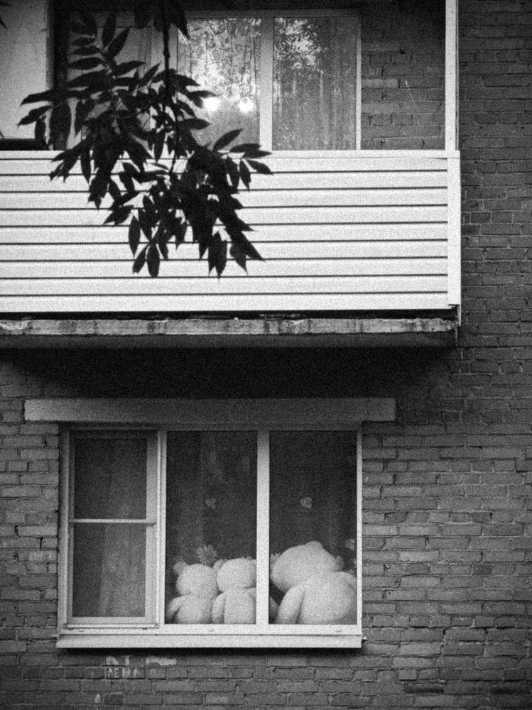 Три медведя