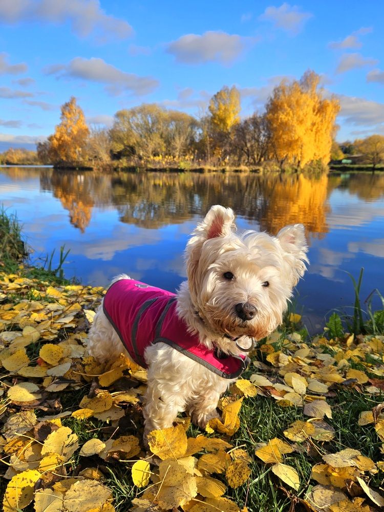 Фотография автора Elena Polonetskaya