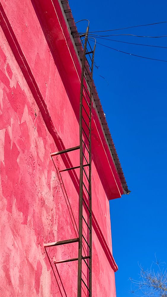 Фотография автора Ксения Лепина