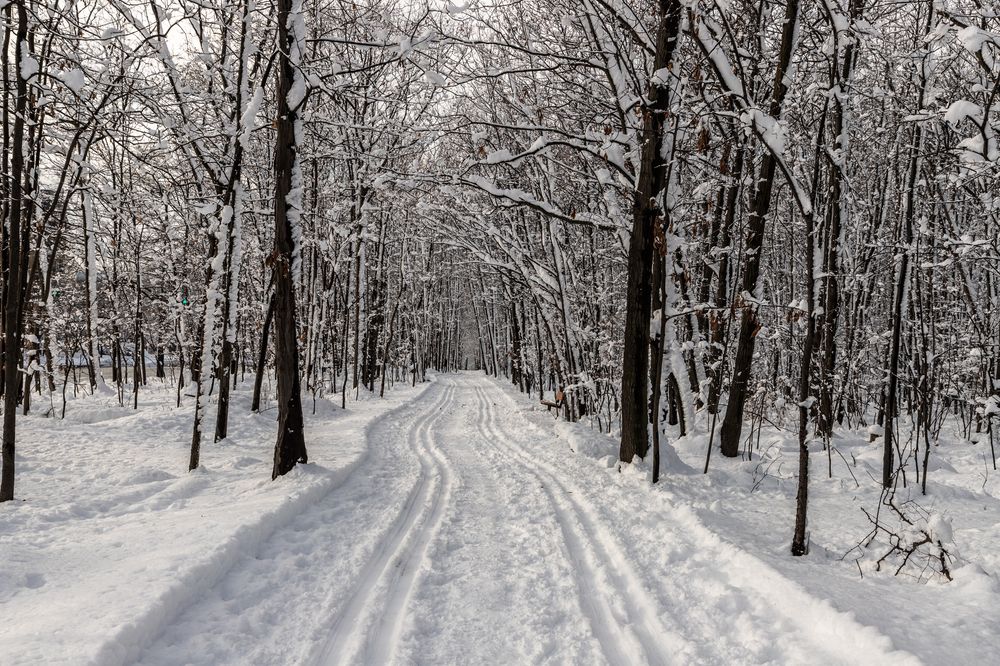 Фотография автора Denis Michelin