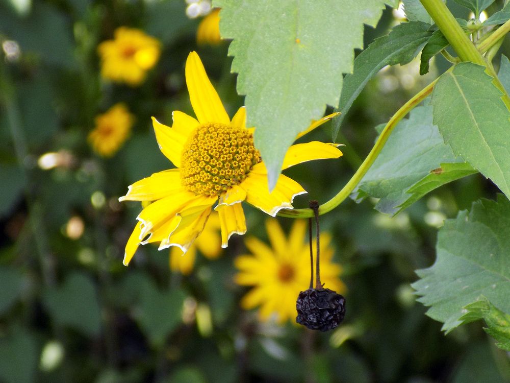 Photograph by Сергей Рудаков