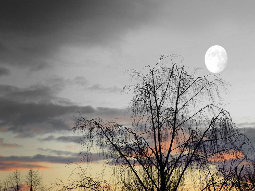 Photograph by Сергей Рудаков