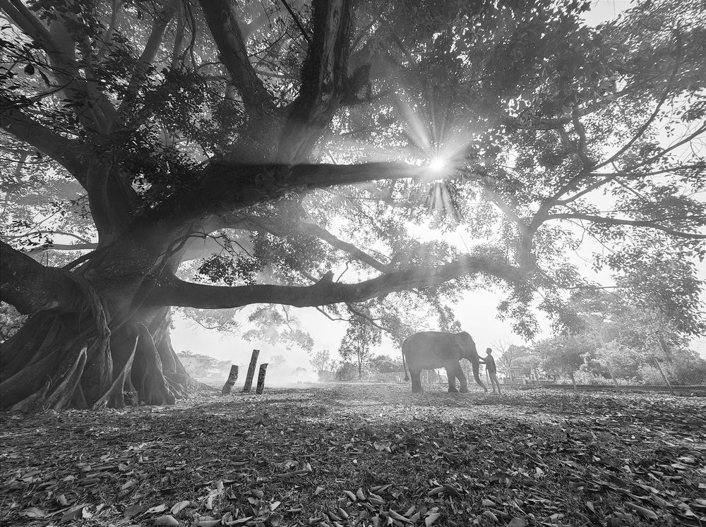 Photograph by Tran Phuong