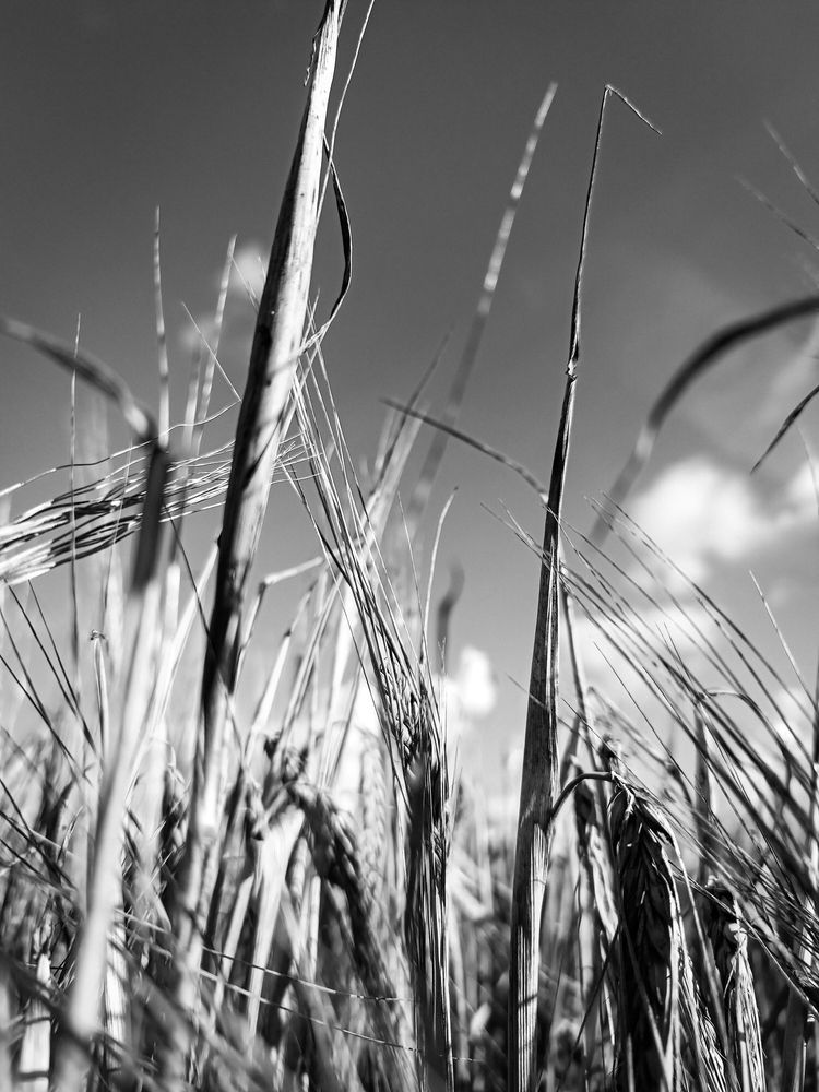 Photograph by Елизавета Турутина