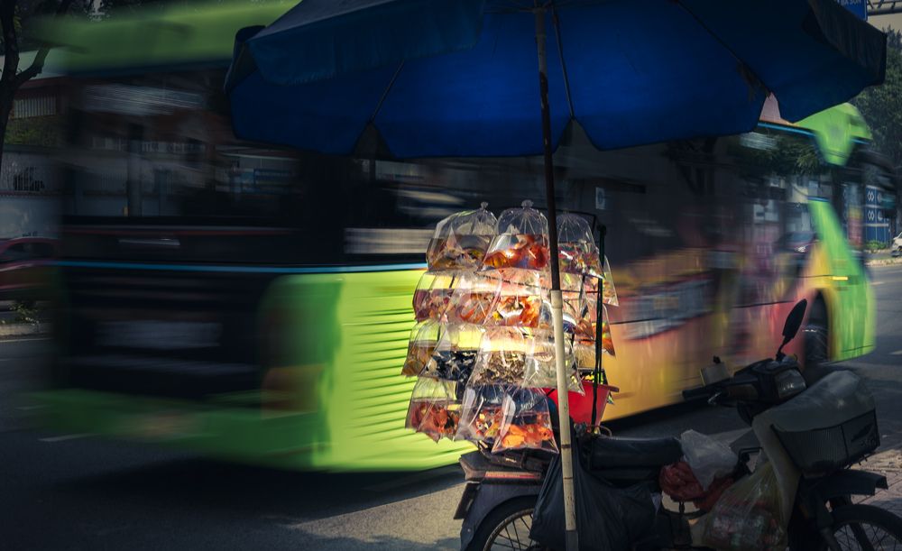 Фотография автора Cu Cay