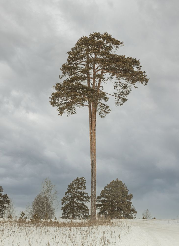 Photograph by Зифа Мингалимова