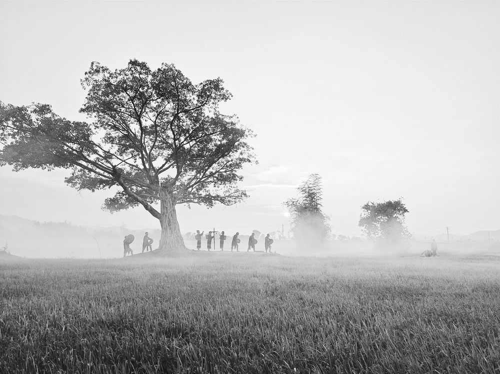 Photograph by Tran Phuong