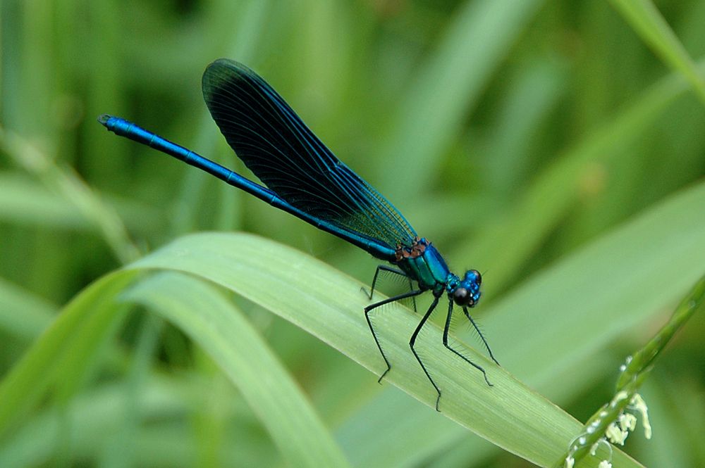 Фотография автора Николай Семенец