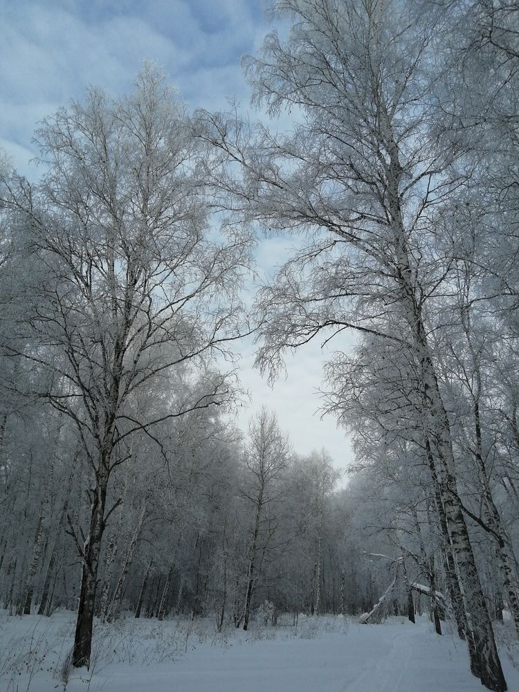 Photo #11876505