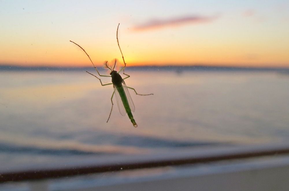 Красивые усы