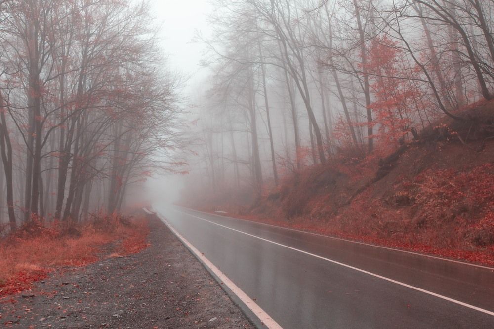 Photograph by Трайко Байко