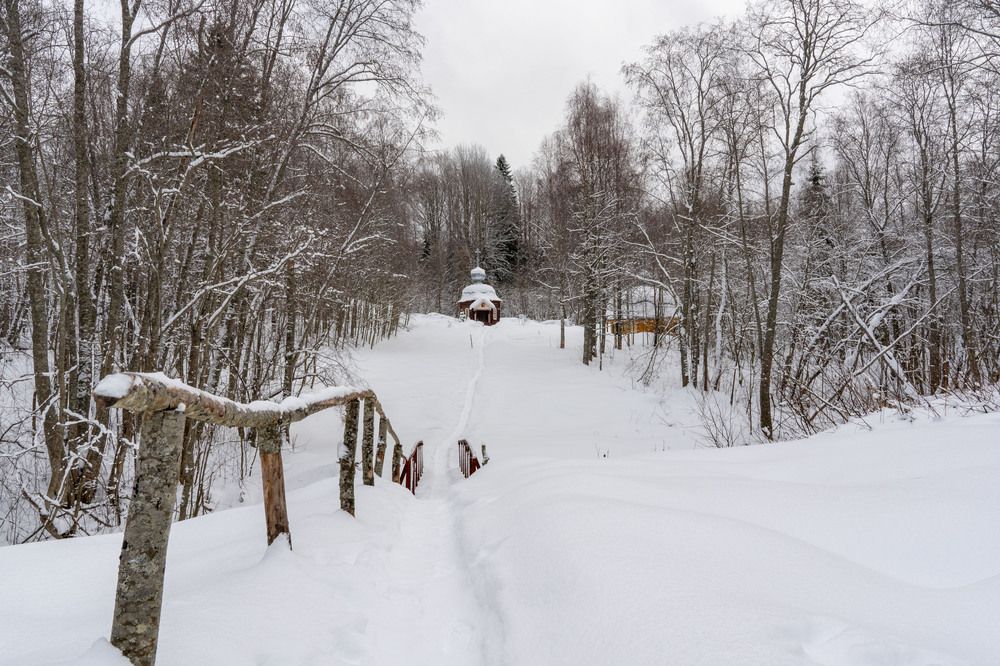 Photograph by Светлана Волкова