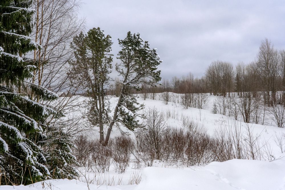 Photograph by Светлана Волкова