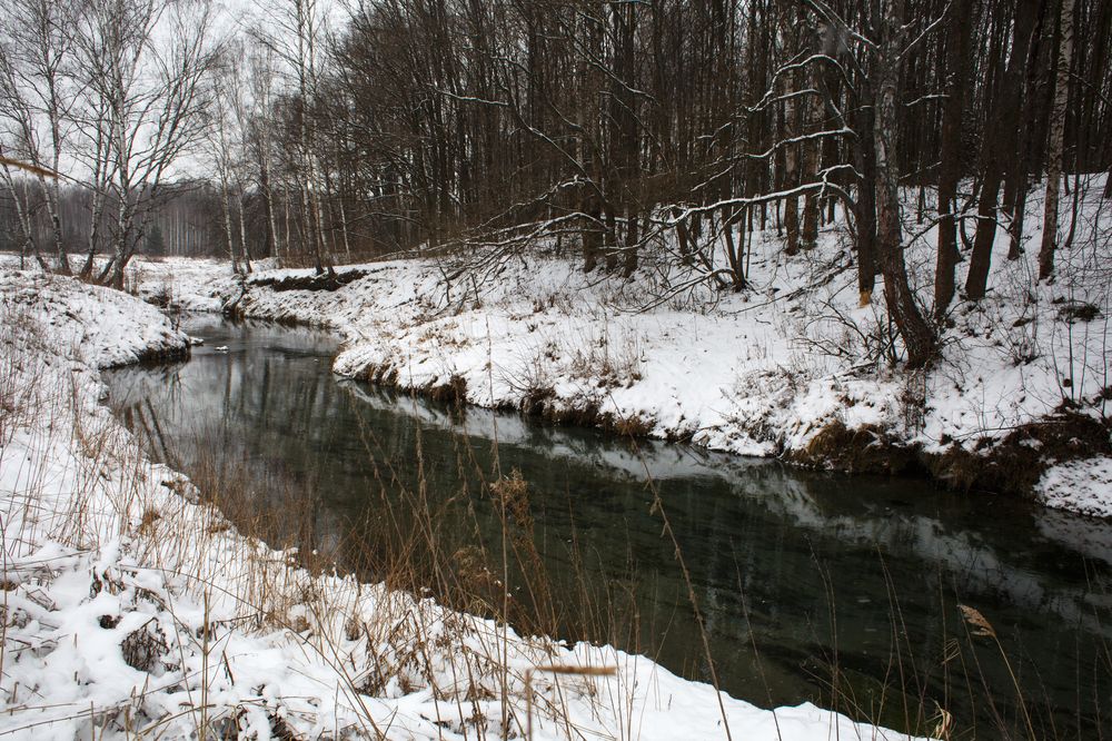 Photograph by Дарья Улюсова