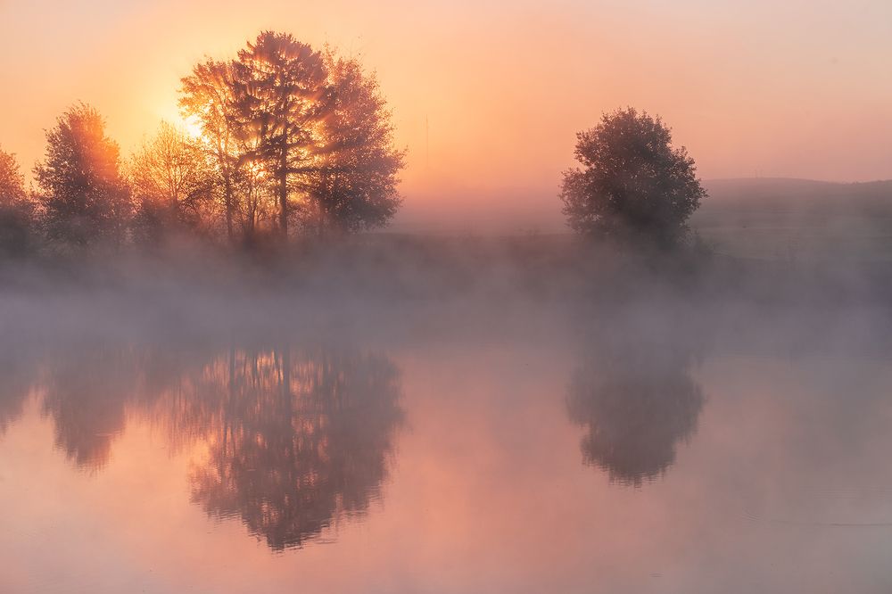 Сквозь туман