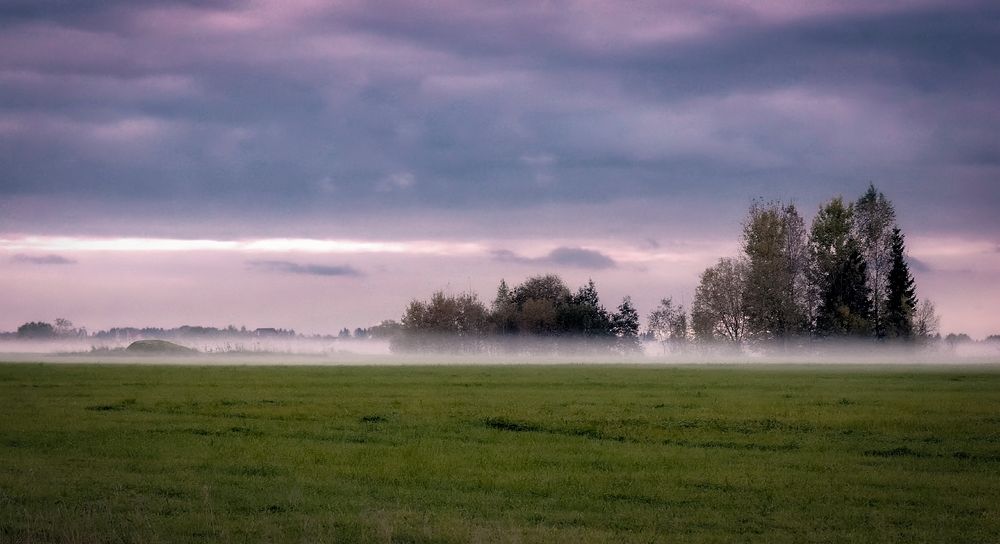 В Розовом тумане..