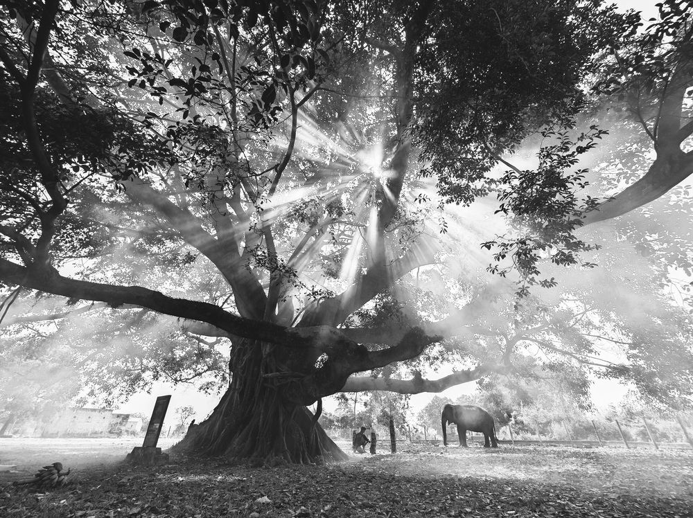 Photograph by Tran Phuong