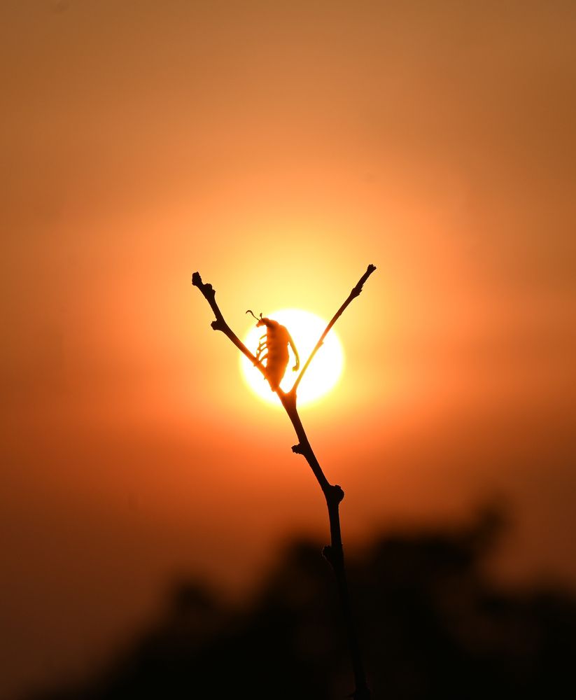 Photograph by shahil shaik