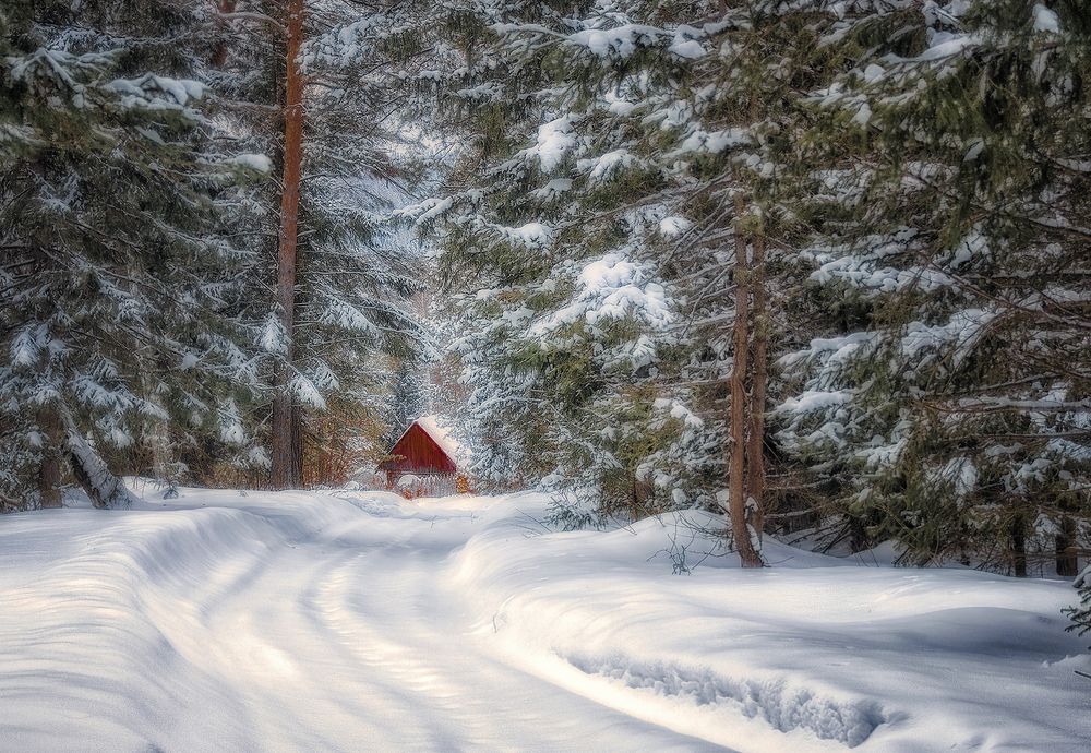 Фотография автора Марина Юдинских