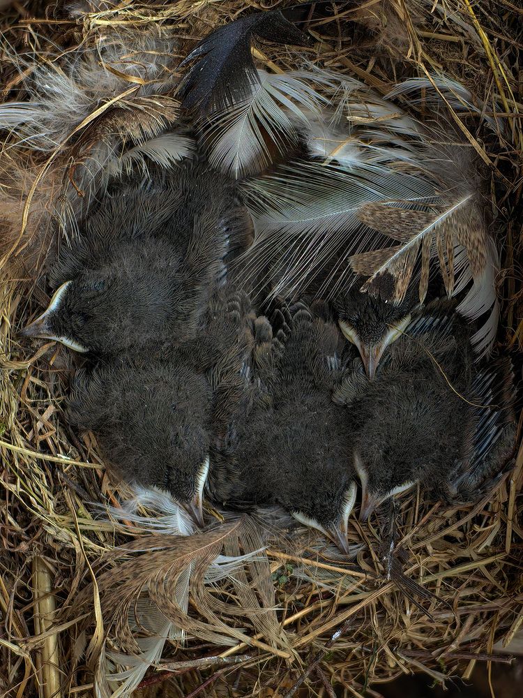 Фотография автора Ольга Панасюк