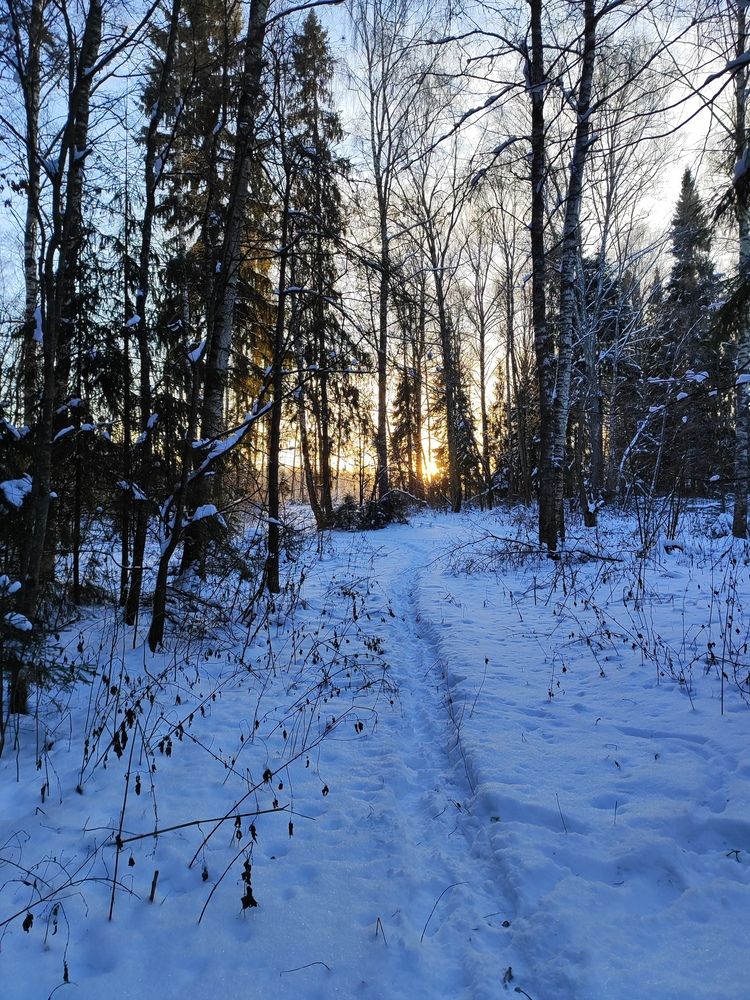 Photo #11876750