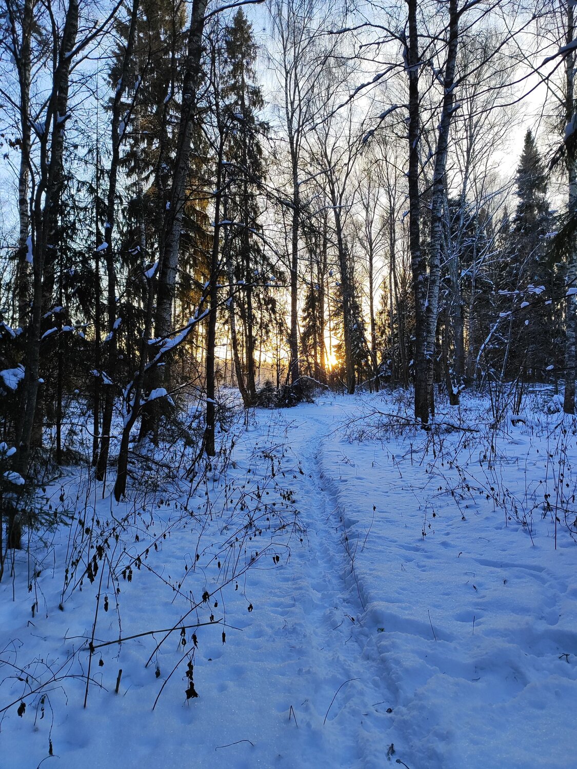 Photo #11876750