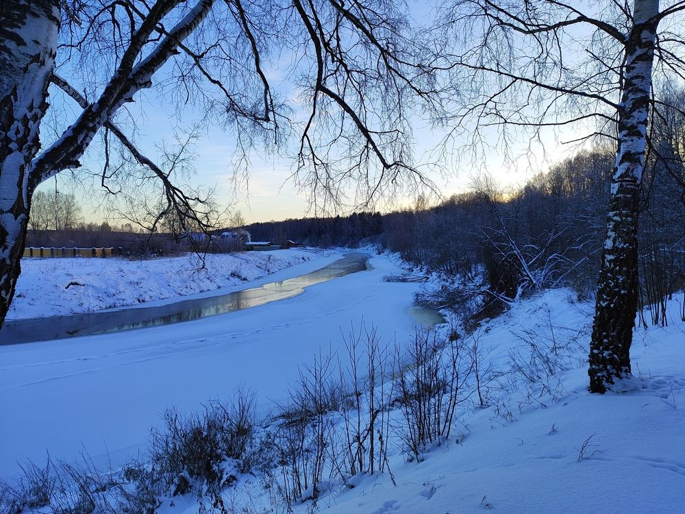 Photo #11876759
