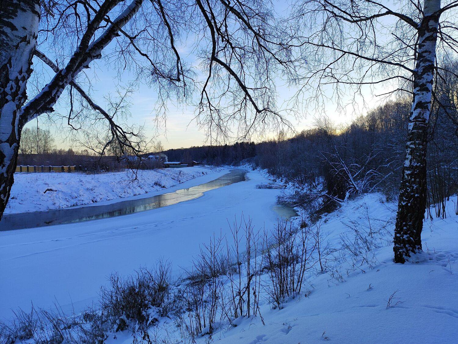 Photo #11876759
