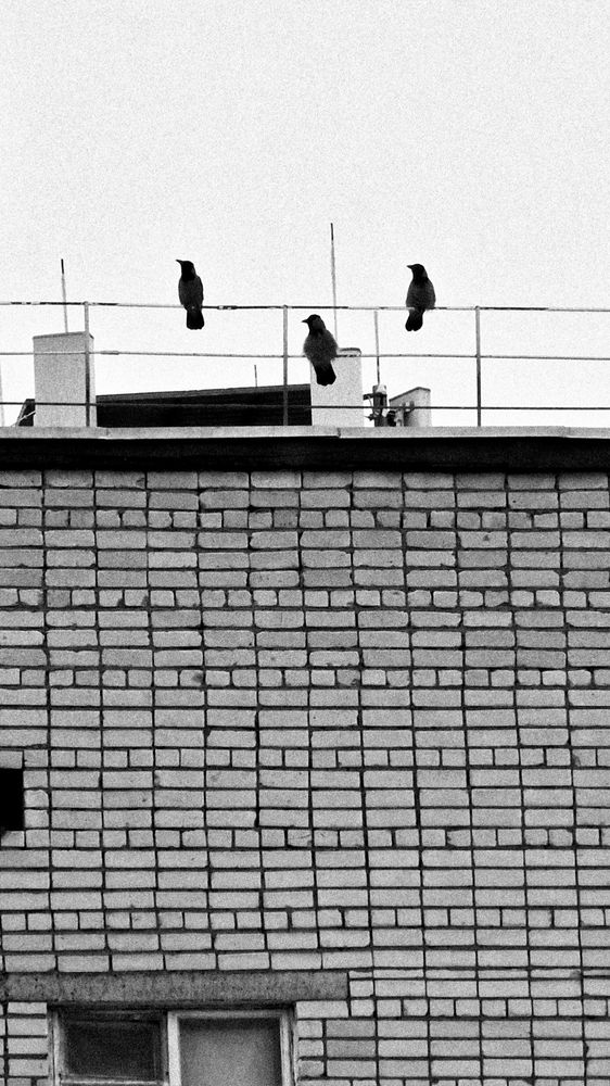 Photograph by Ivan Kravchenko