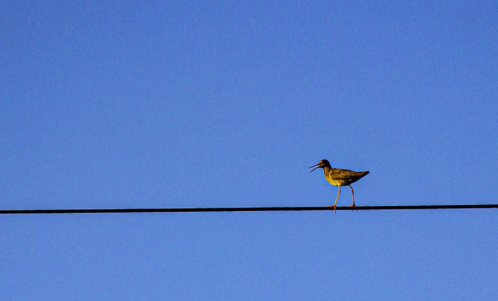 Photograph by Дмитрий Селицкий