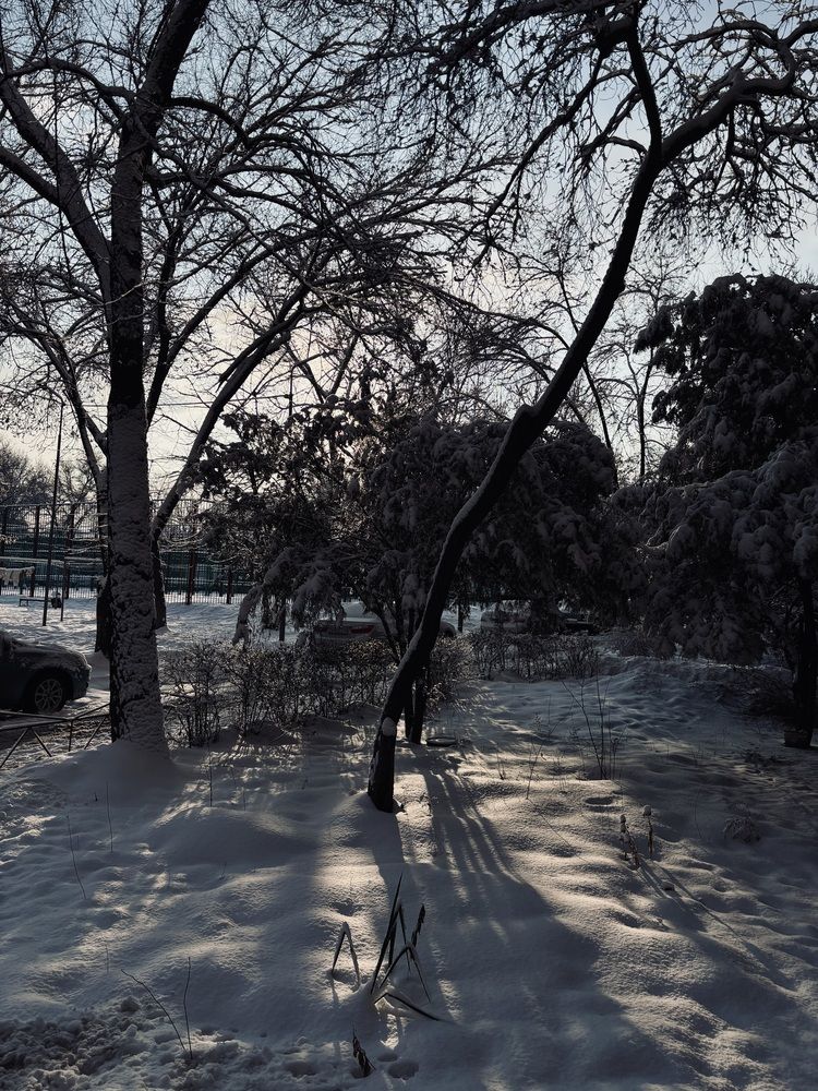 Photograph by Елена Яковлева