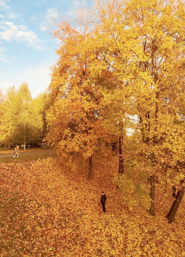 Photograph by Светлана Сычева