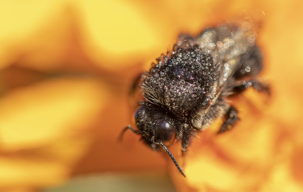 Photograph by Татьяна Феденкова