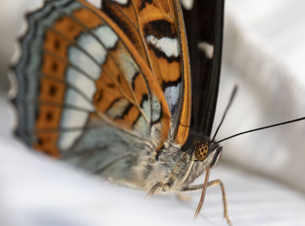 Photograph by Татьяна Феденкова