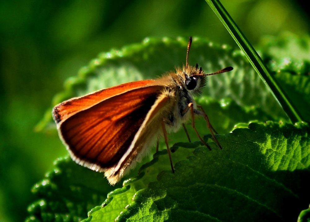 Photograph by Юлия Иванова