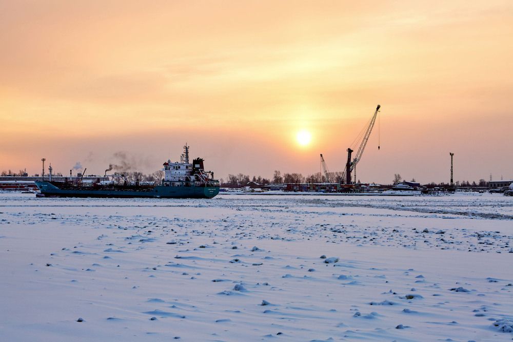 Фотография автора Totoro