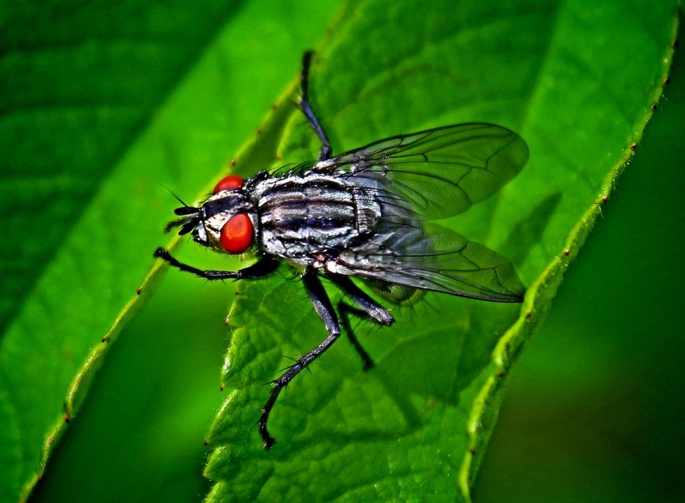 Photograph by Юлия Иванова