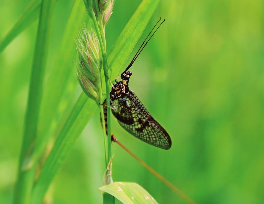 Photograph by Юлия Иванова