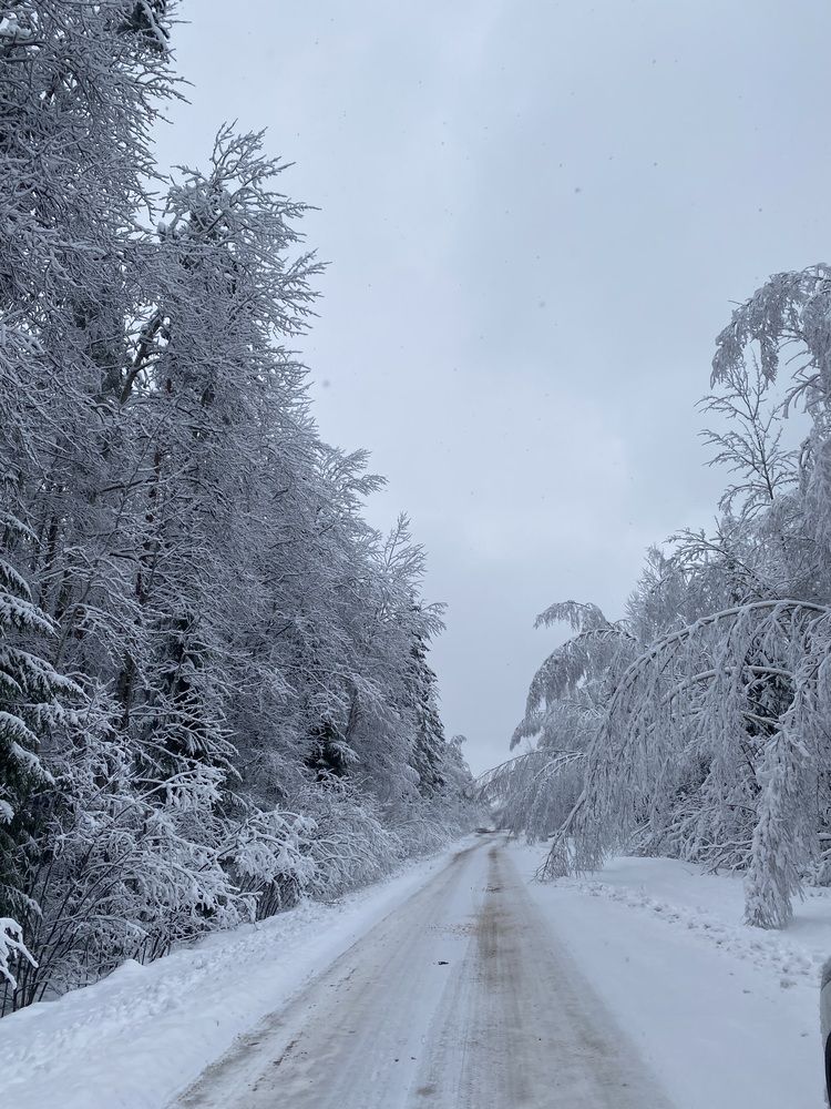 Photograph by Василина