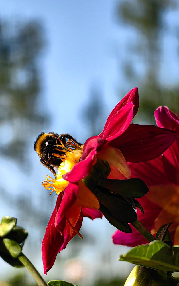 Фотография автора Ольга Панасюк