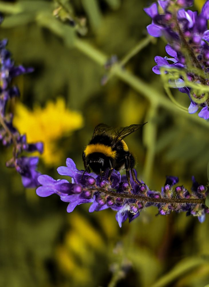 Фотография автора Ольга Панасюк
