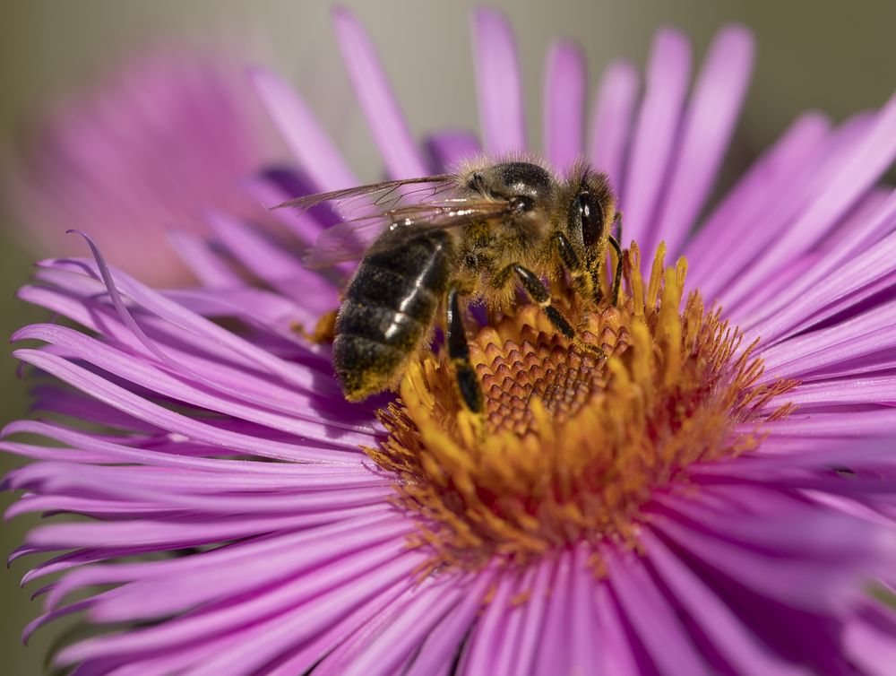 Photograph by Татьяна Феденкова