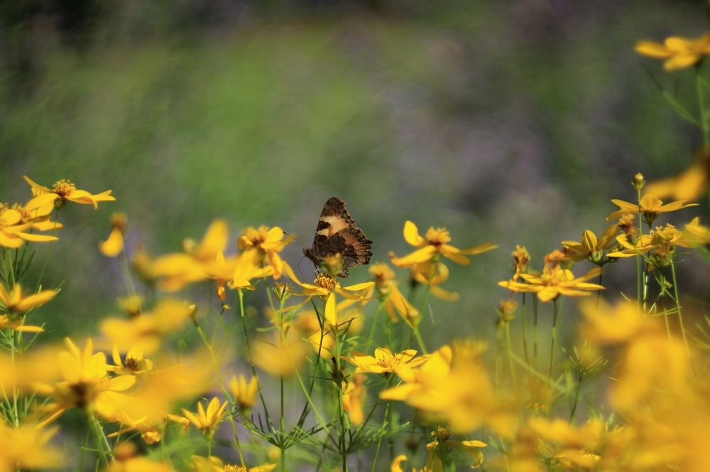 Photograph by Антон Иванов