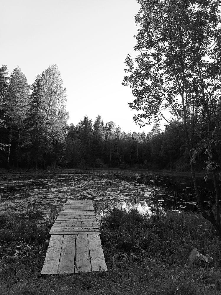 Photograph by Екатерина Одинцова