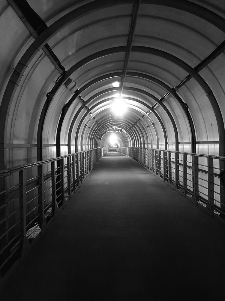 Photograph by Екатерина Одинцова