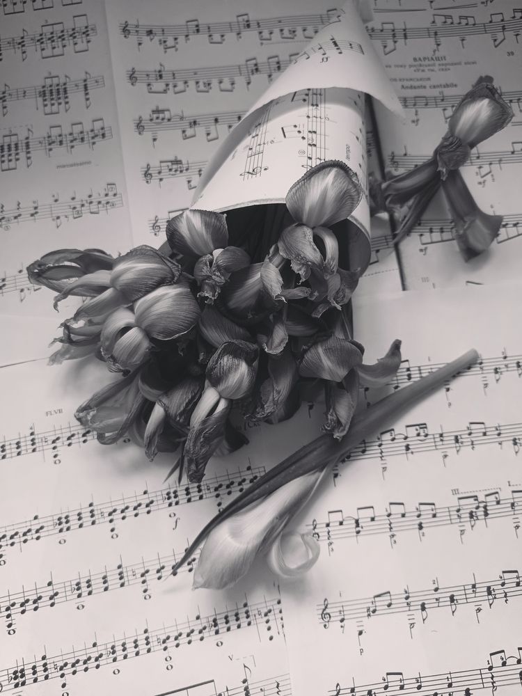 Photograph by Екатерина Одинцова