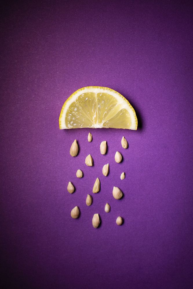 Photograph by Светлана Прокофьева