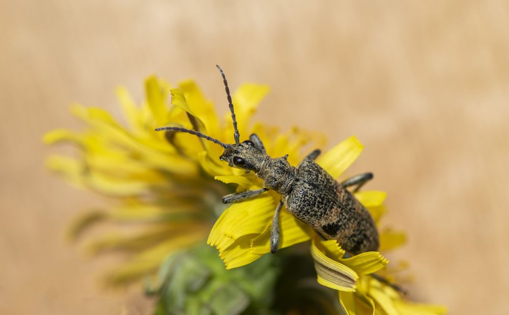 Photograph by Татьяна Феденкова